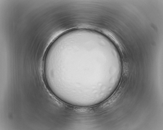 X0000115621048200912081019