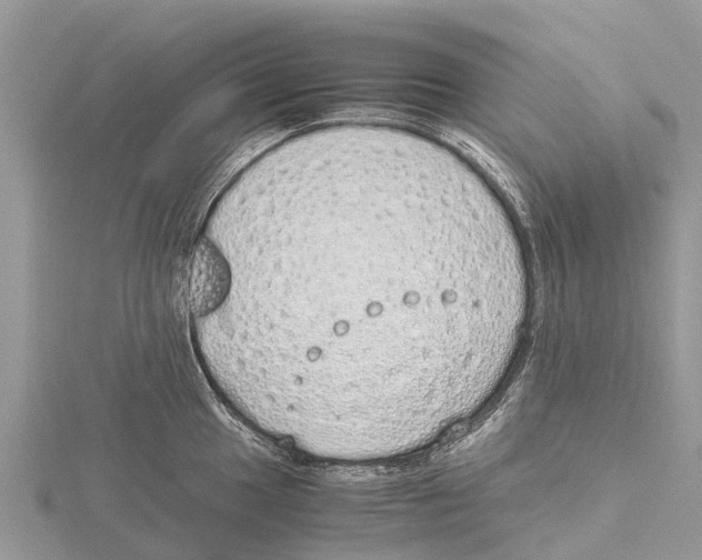 X0000115621049200912081019