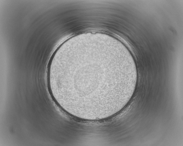 X0000115621050200912081019