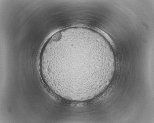 X0000115621051200912081019