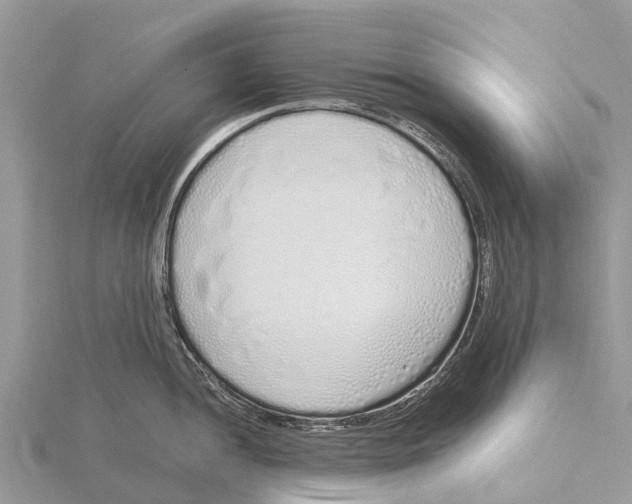 X0000115621052200912081019