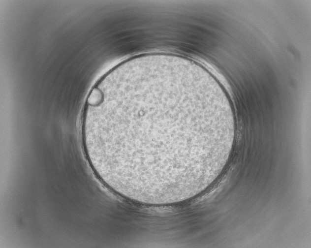 X0000115621053200912081019