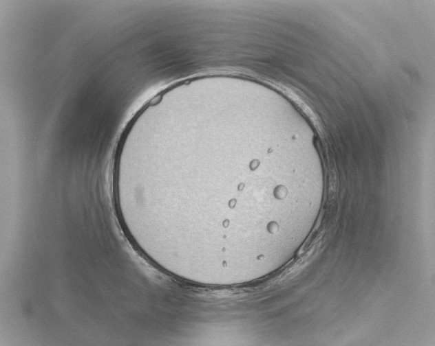 X0000115621054200912081019