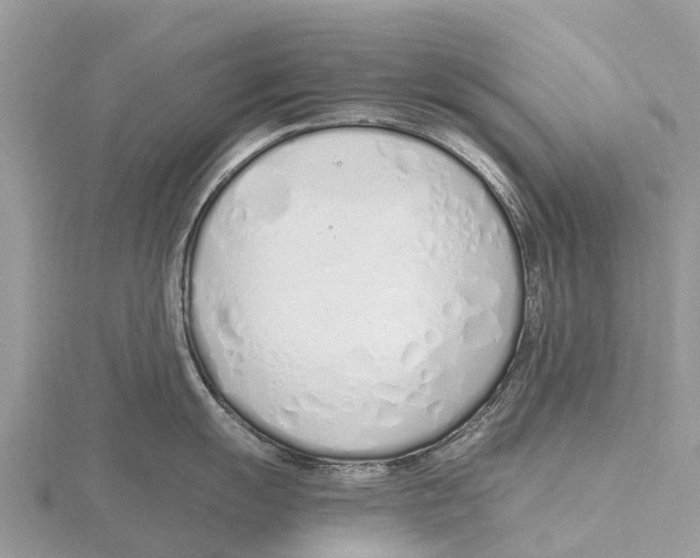 X0000115621055200912081019