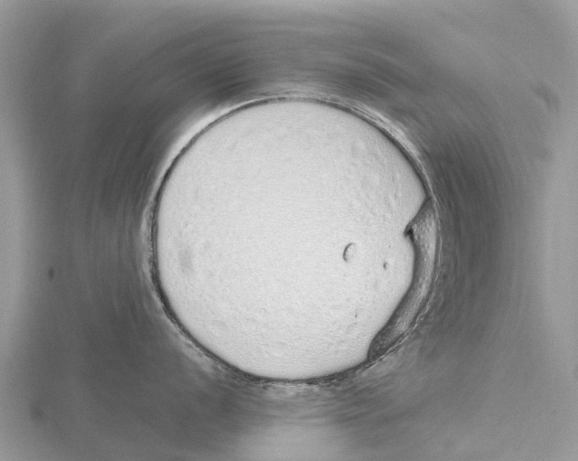 X0000115621056200912081019