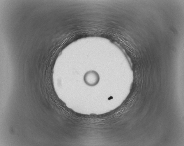 X0000115621057200912081019