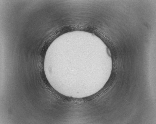 X0000115621058200912081019