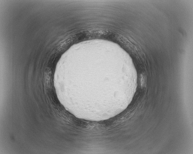 X0000115621059200912081018