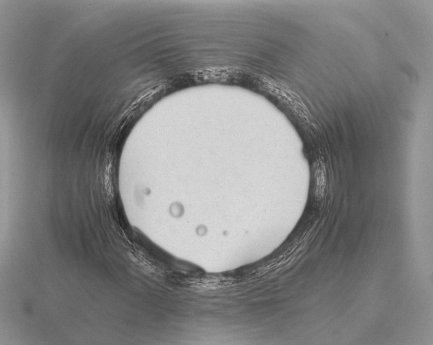 X0000115621060200912081018