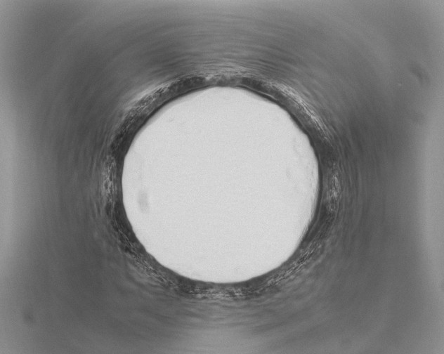 X0000115621063200912081018