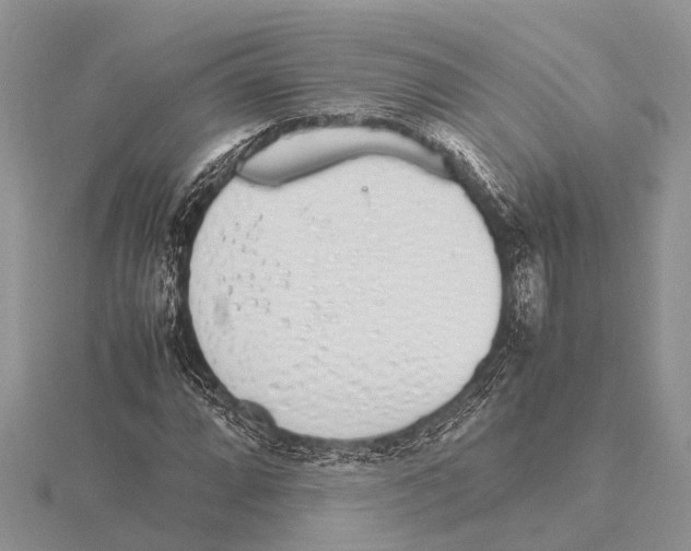 X0000115621064200912081018