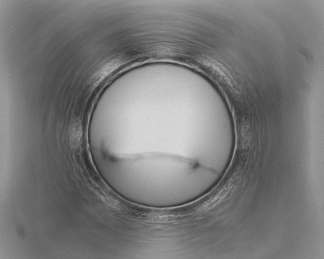 X0000115621065200912081018