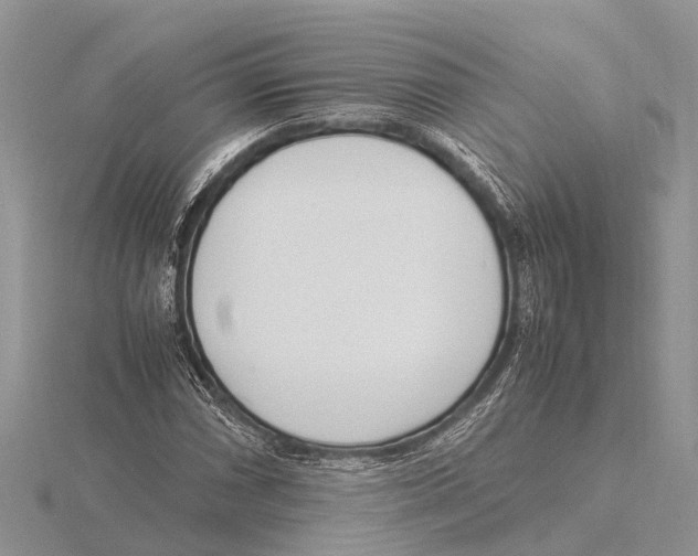 X0000115621066200912081018