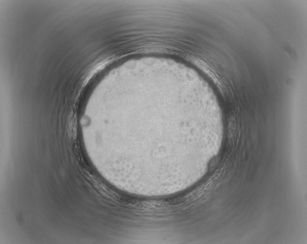 X0000115621067200912081018