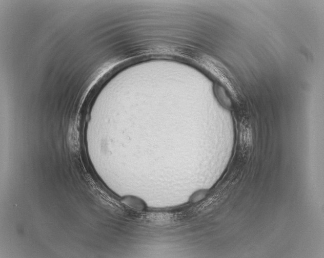 X0000115621068200912081018