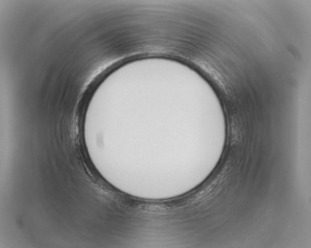 X0000115621070200912081018