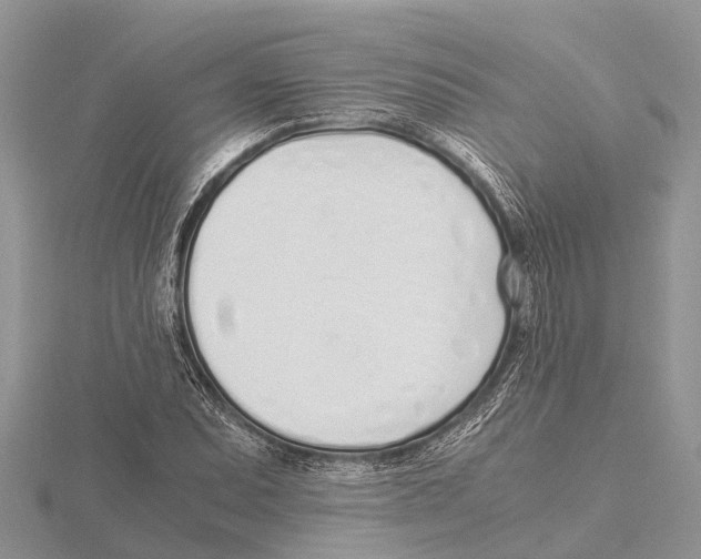 X0000115621071200912081018