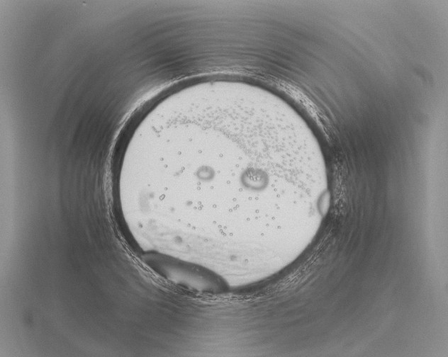 X0000115621072200912081018