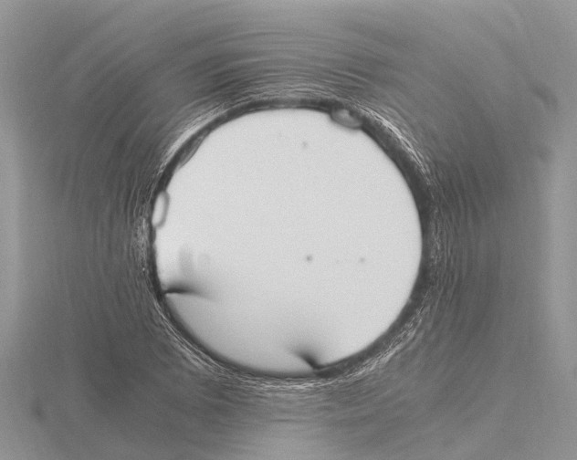 X0000115621073200912081018