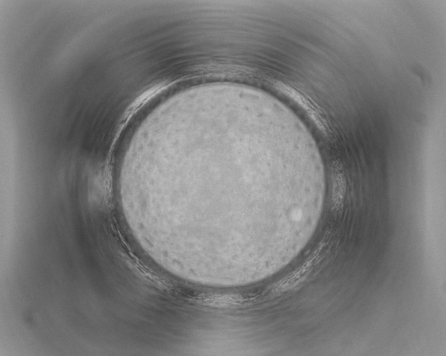 X0000115621074200912081018