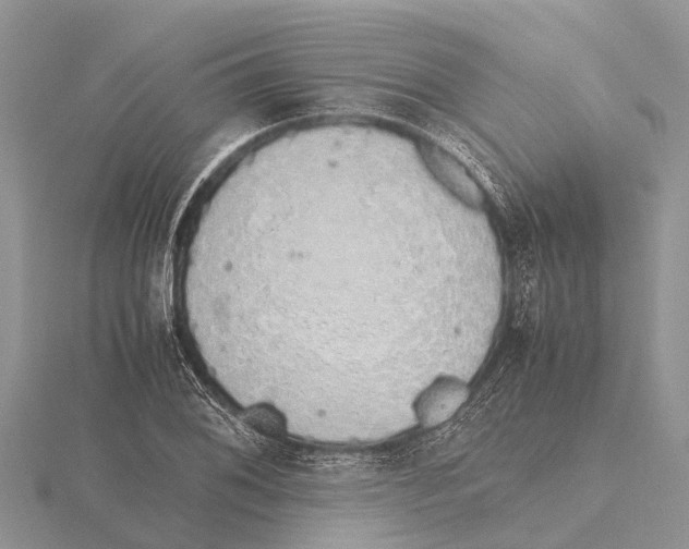 X0000115621076200912081018