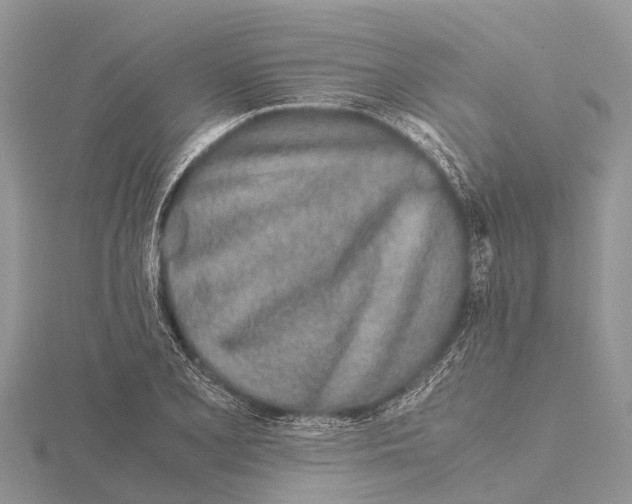 X0000115621077200912081018