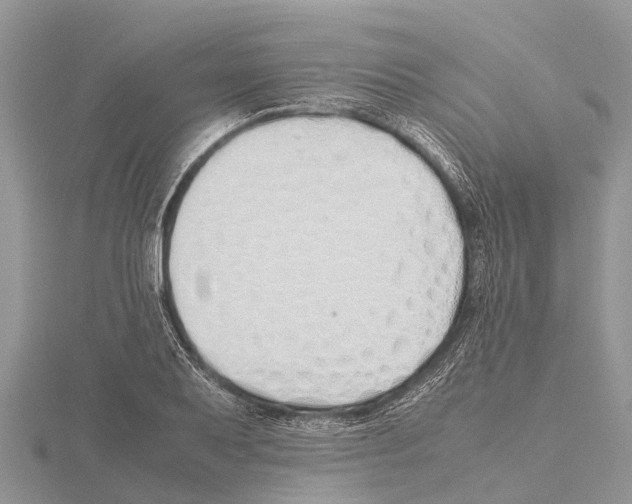 X0000115621079200912081018