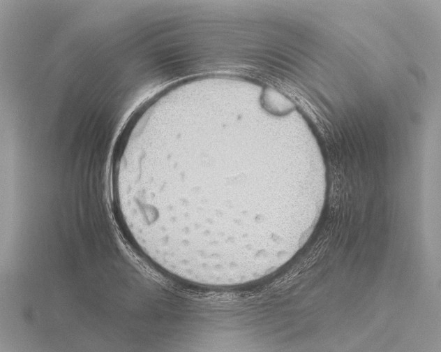 X0000115621080200912081018