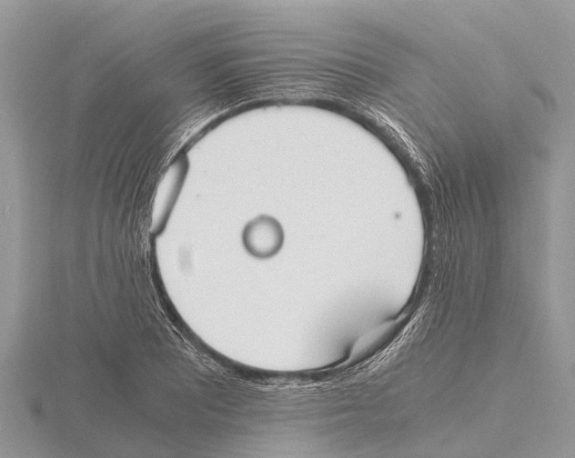 X0000115621081200912081018