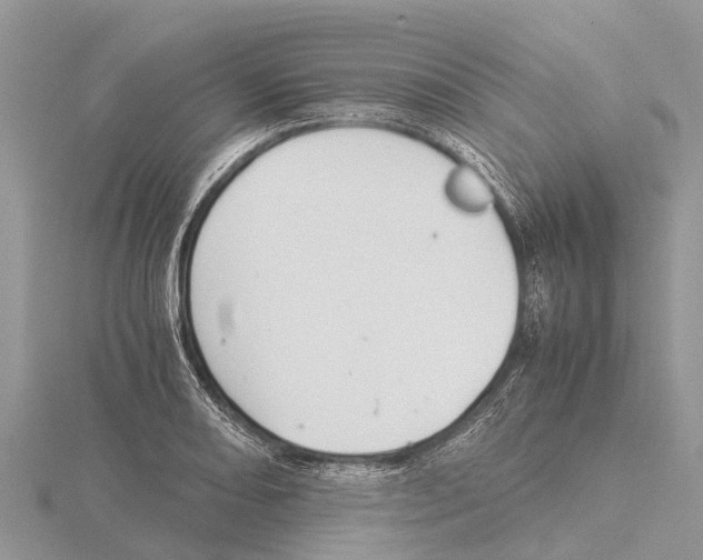 X0000115621082200912081018