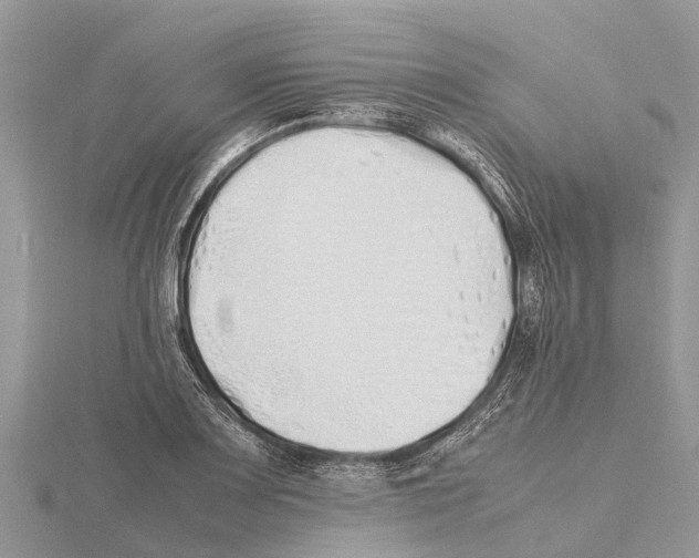 X0000115621083200912081018