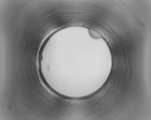 X0000115621084200912081018