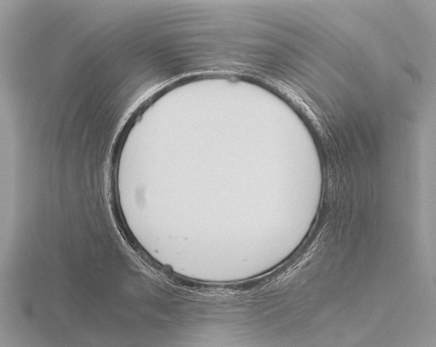 X0000115621085200912081018