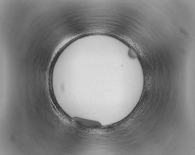 X0000115621086200912081018