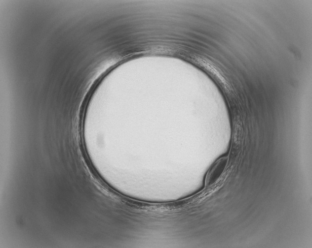 X0000115621087200912081018