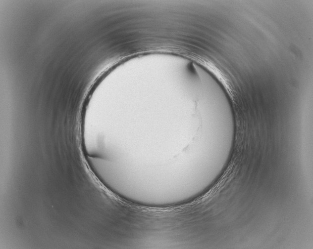 X0000115621088200912081018