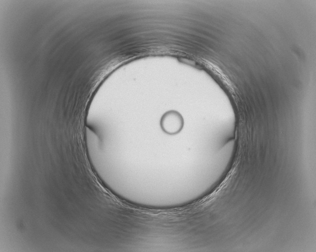 X0000115621089200912081018