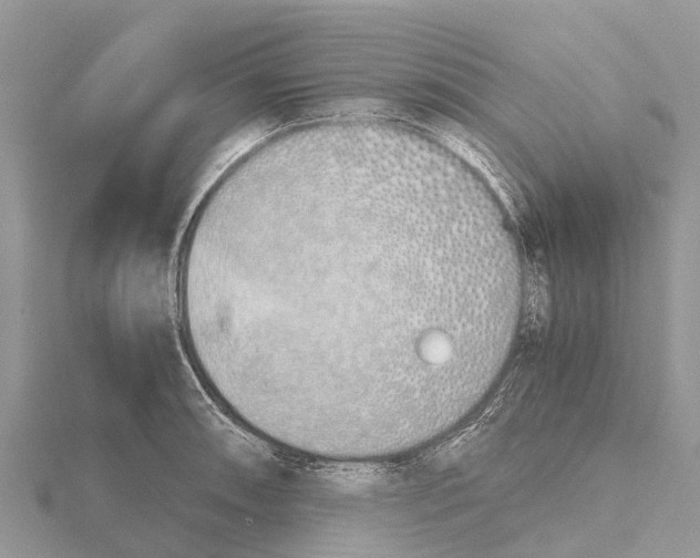 X0000115621090200912081018