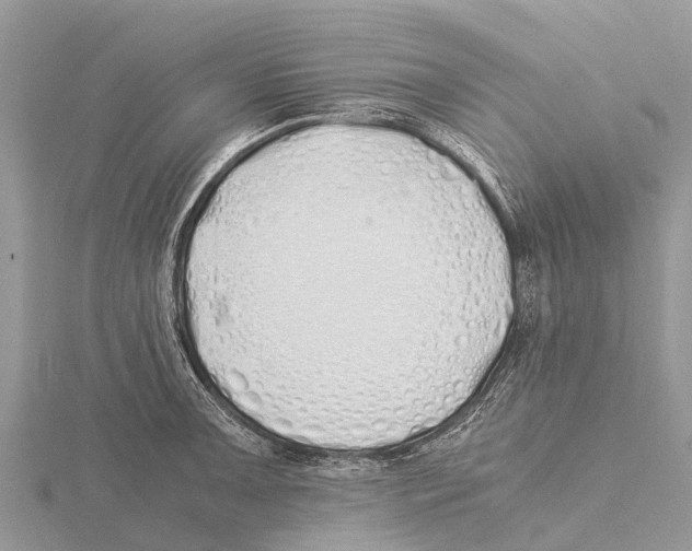 X0000115621091200912081018