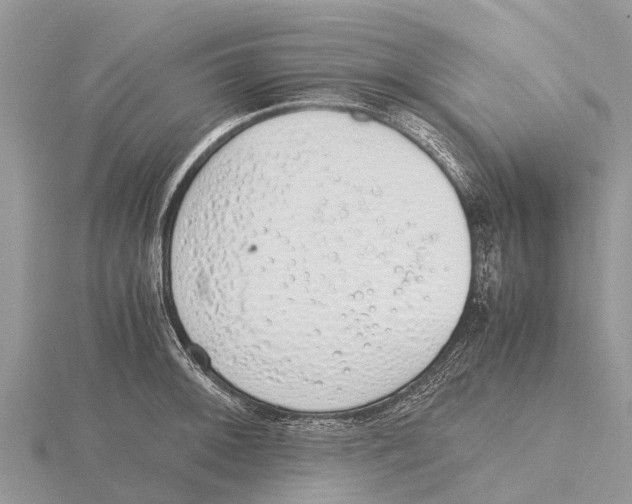 X0000115621092200912081018