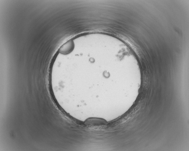 X0000115621093200912081018