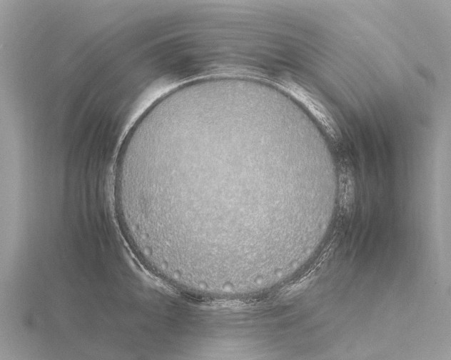 X0000115621094200912081018