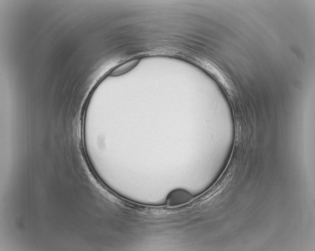 X0000115621095200912081018