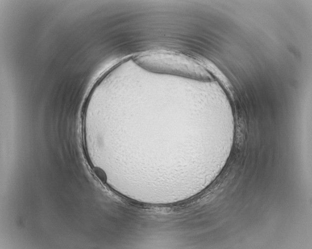 X0000115621096200912081018