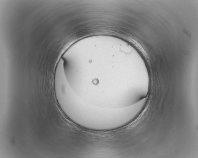 X0000115621097200912081018