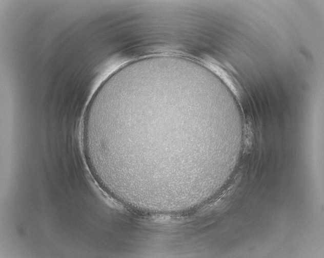 X0000115621098200912081018