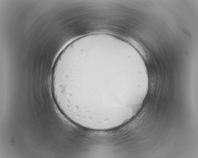 X0000115621100200912081018