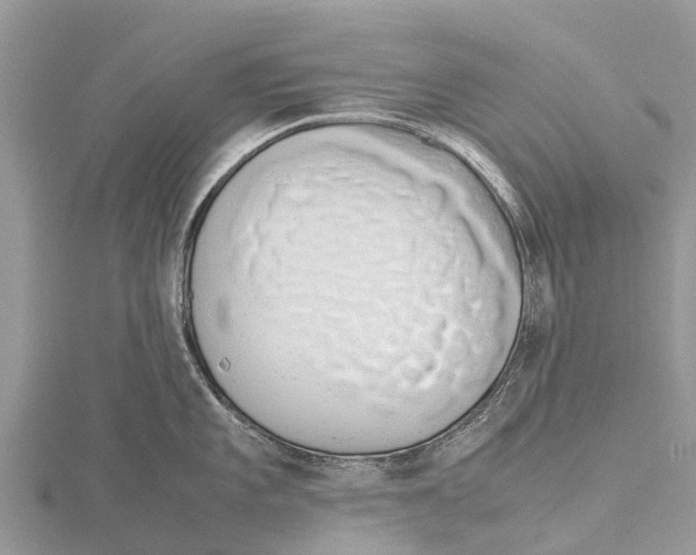 X0000115621101200912081018