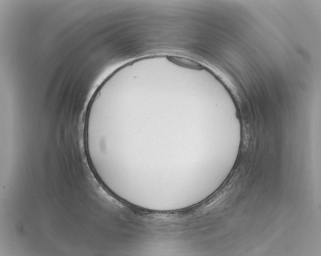 X0000115621102200912081018