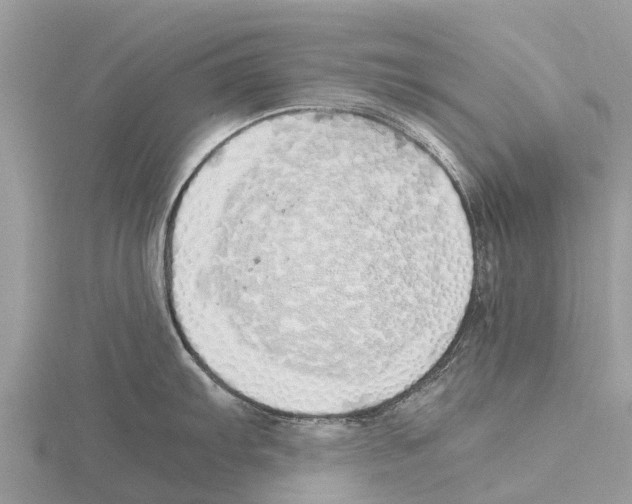 X0000115621103200912081018